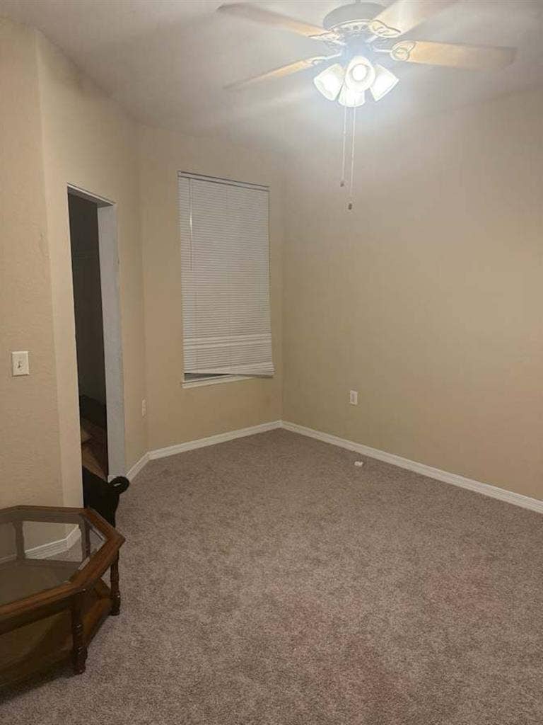 Roommate in need
