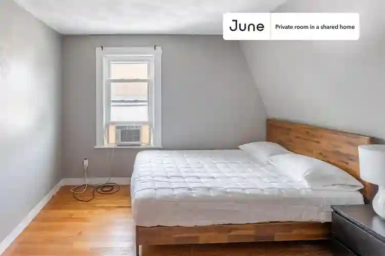 6 BR in Boston