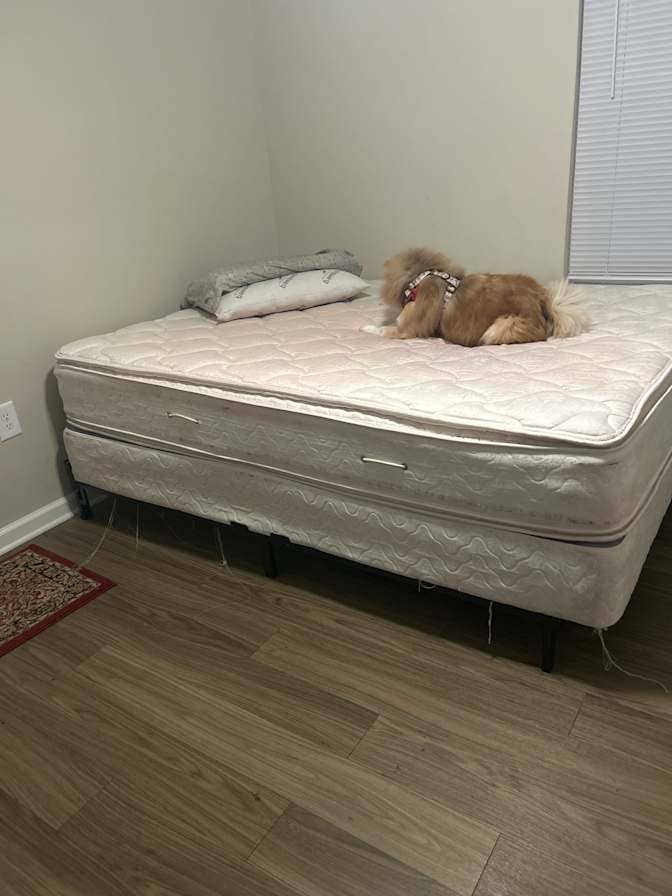 Room for rent