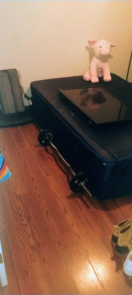Roommate wanted