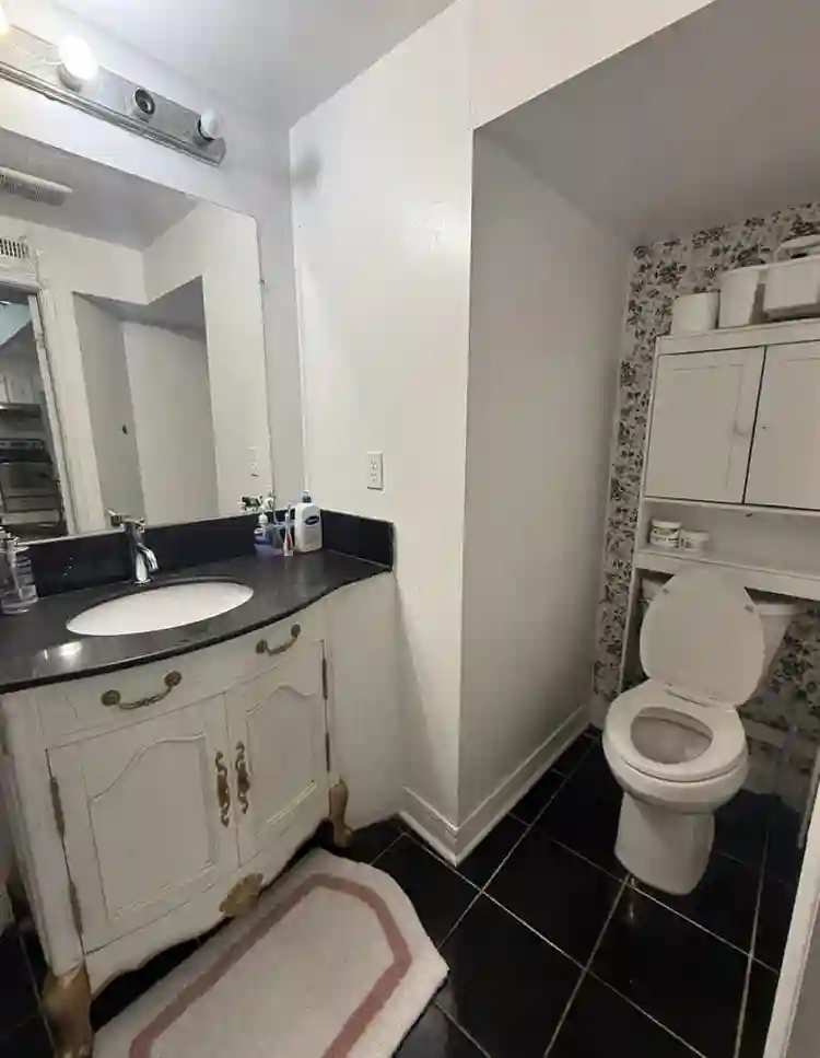 Spacious basement Brampton