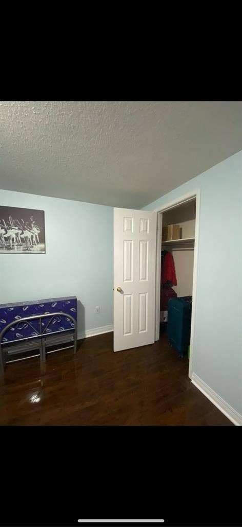 Spacious basement Brampton