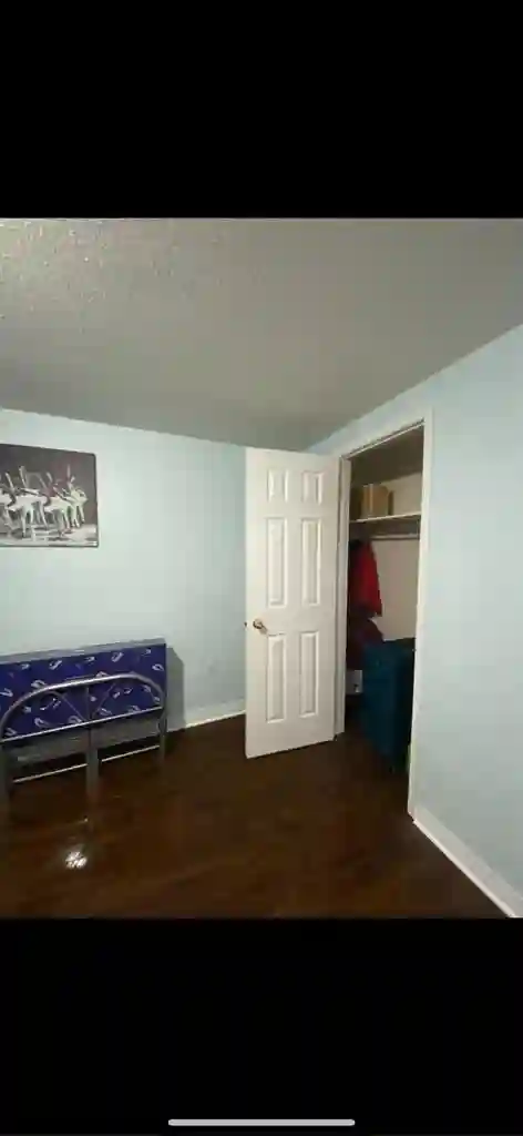 Spacious basement Brampton