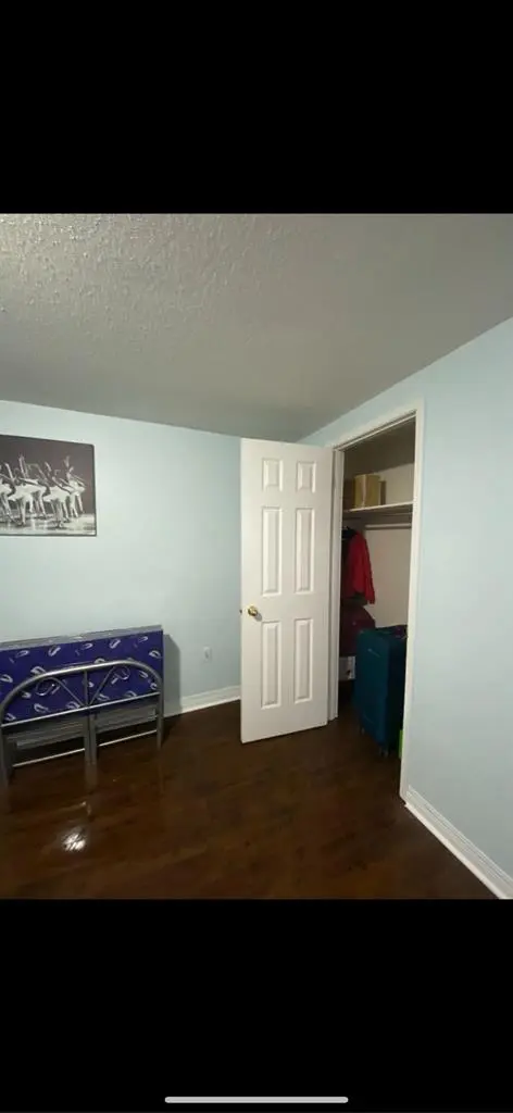 Spacious basement Brampton