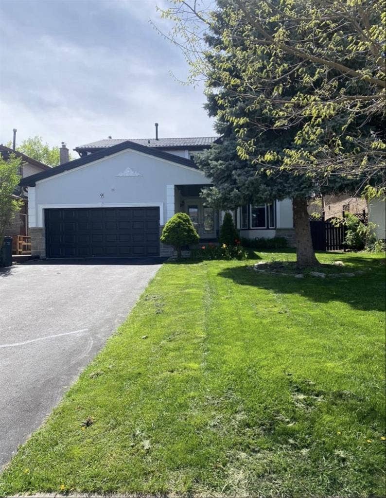 Spacious basement Brampton