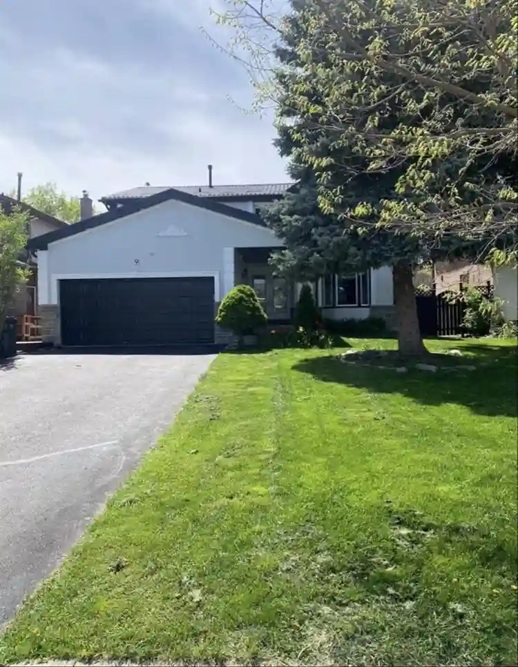 Spacious basement Brampton