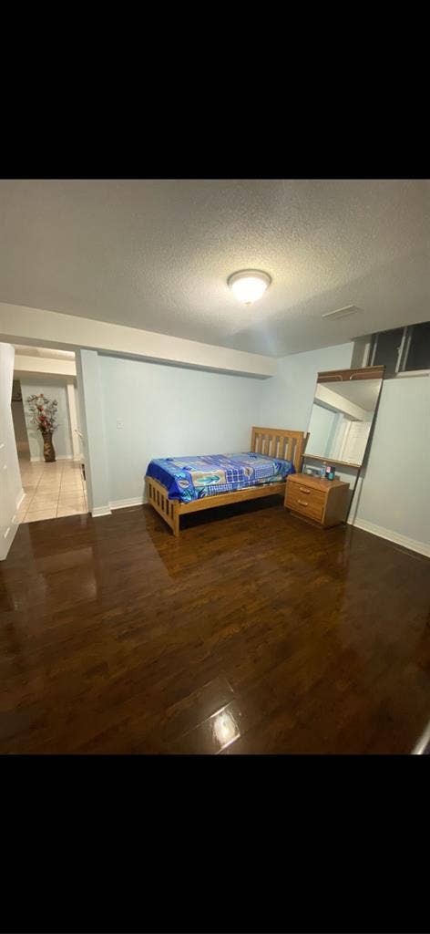 Spacious basement Brampton