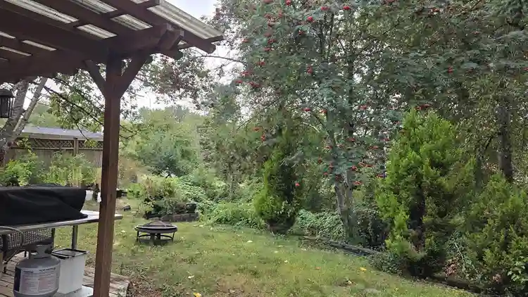 Bright room on a quiet street