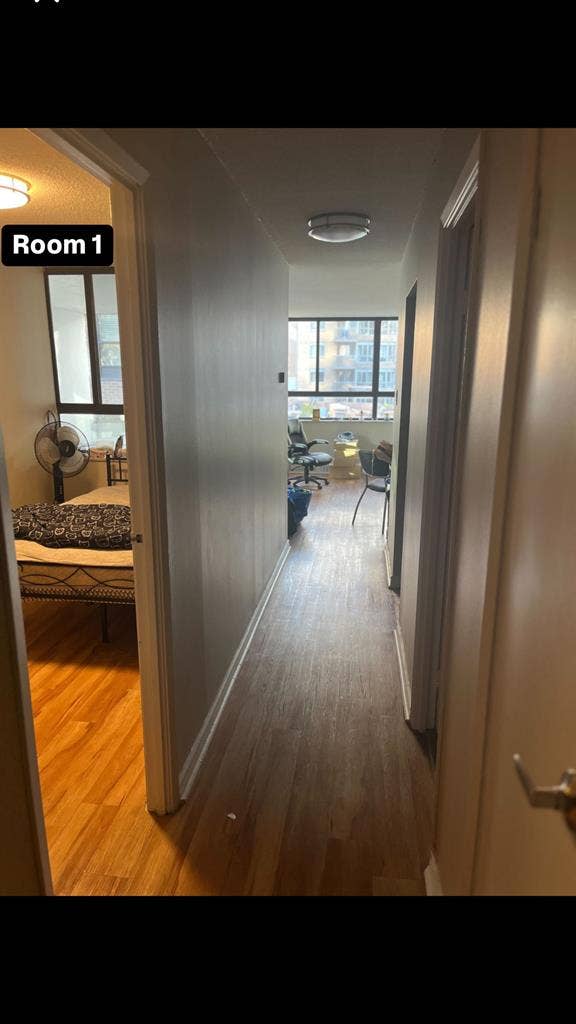 New Listing