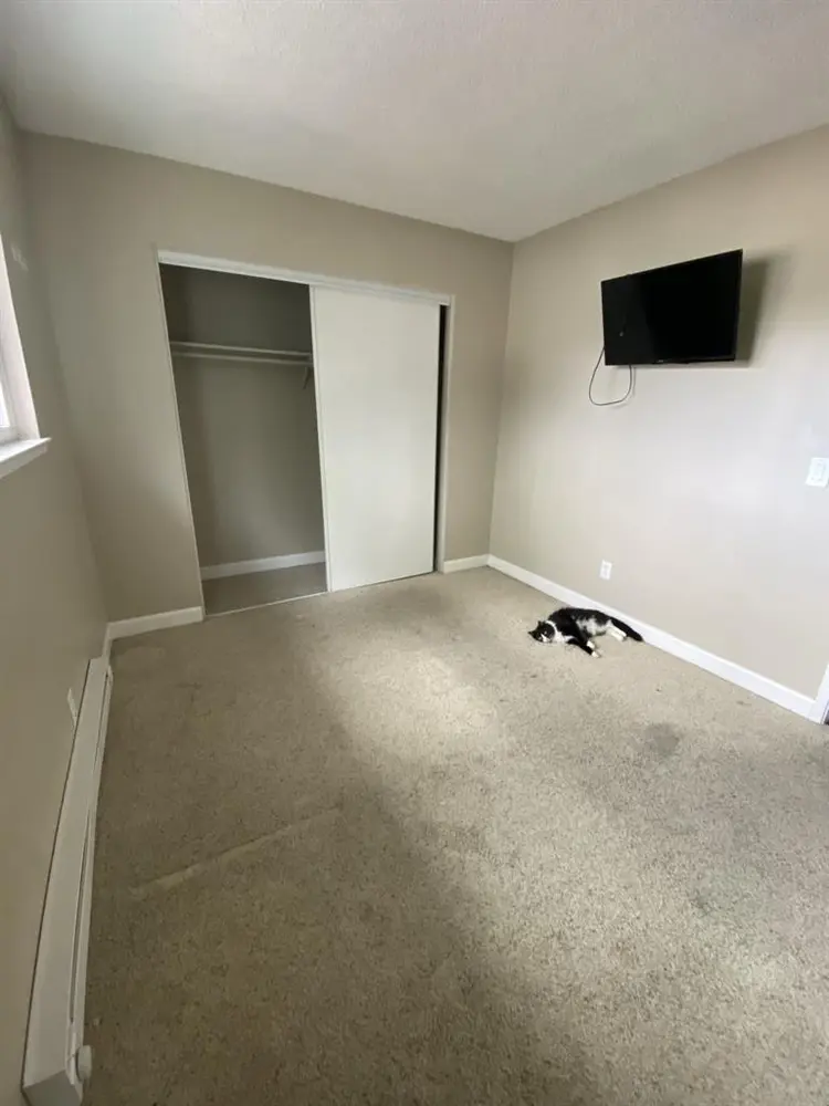 Looking for roommate