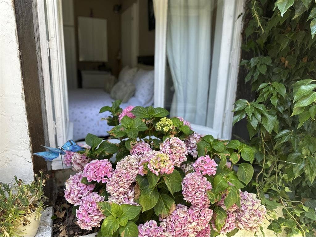 Petit gite avec Véranda