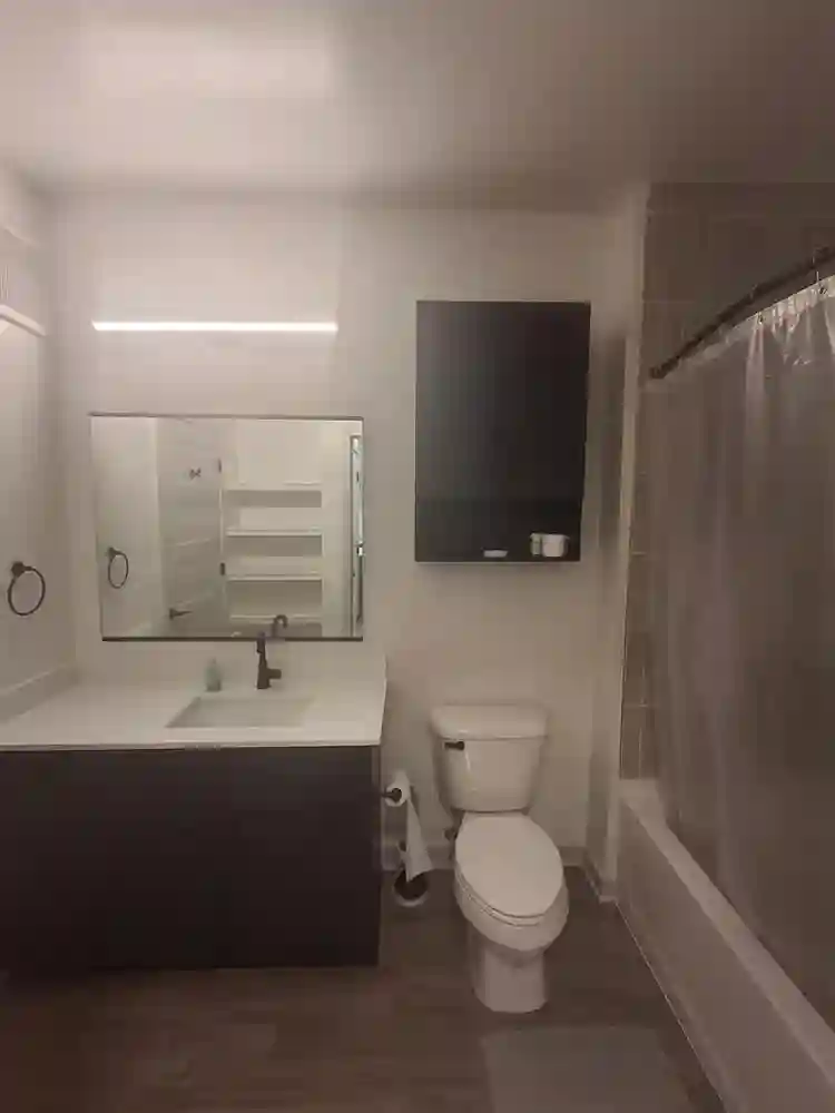 Short term room for rent in Reston