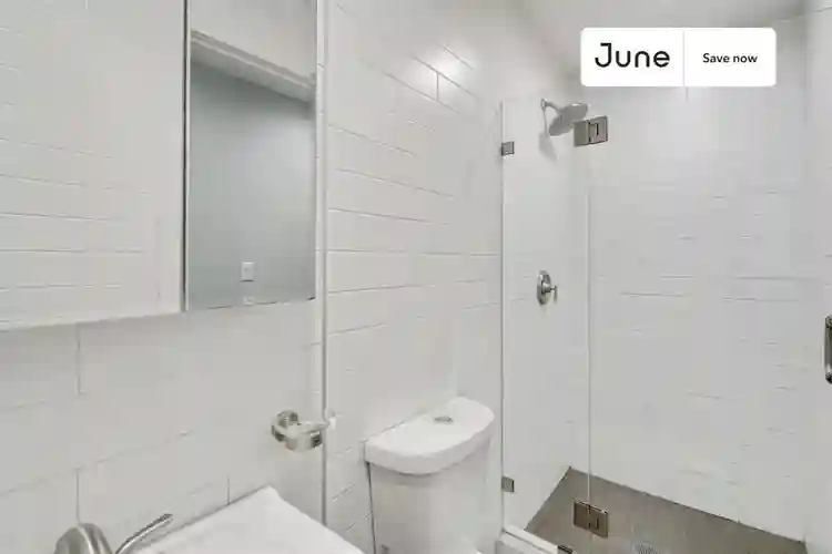 1 BR in New York City