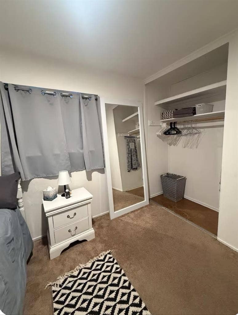 Cozy room with shared home spaces