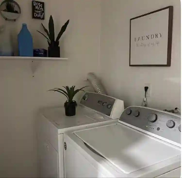 Cozy room with shared home spaces