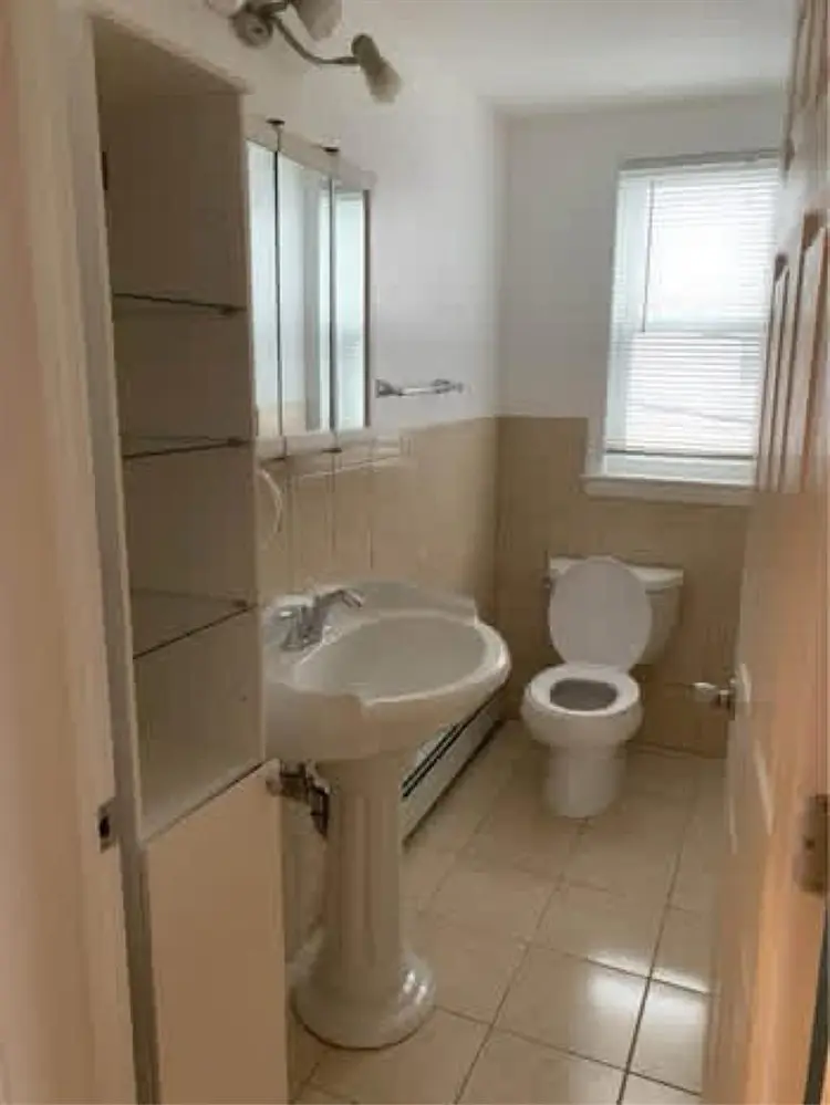Looking for a roommate