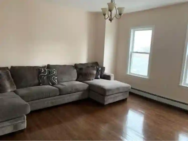 Looking for a roommate