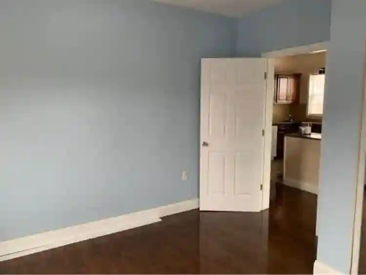 Looking for a roommate