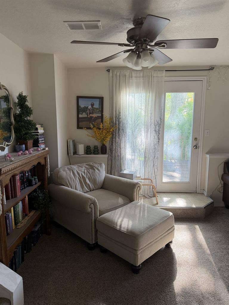 Roommate needed