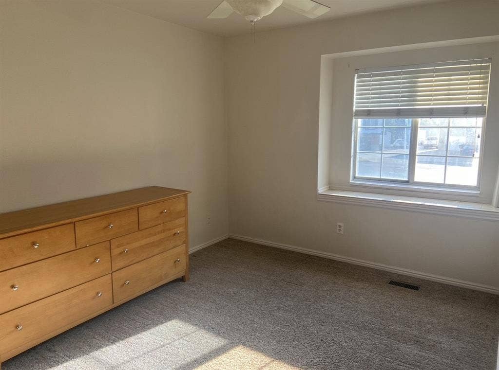 Roommate needed