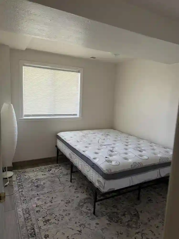 Roommate needed