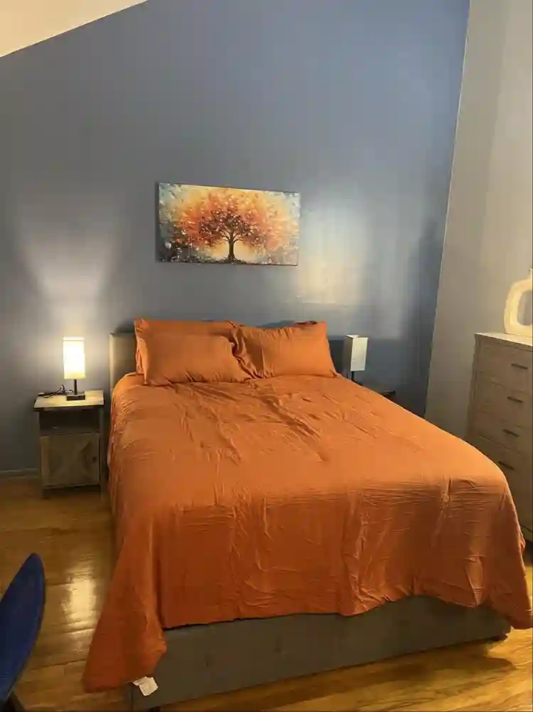 Cozy Upscale Room Rental