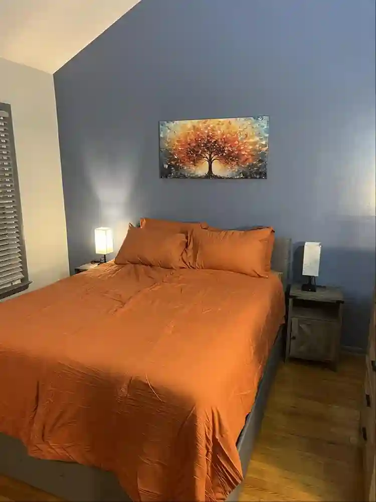 Cozy Upscale Room Rental