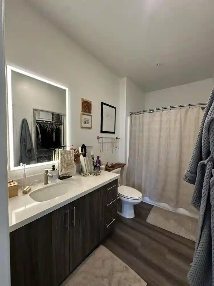Aliso Viejo master bedroom