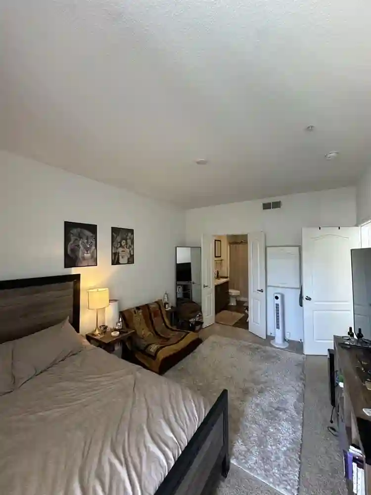 Aliso Viejo master bedroom