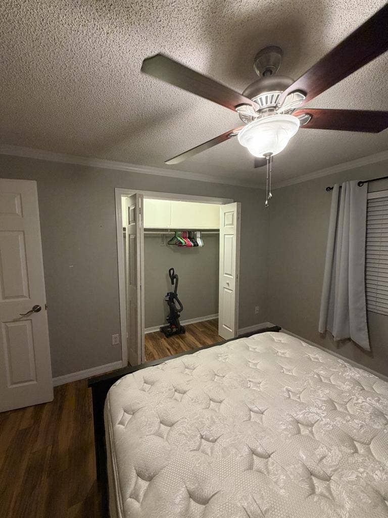 Roommate Wanted!