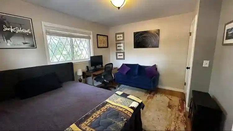 Searching for a solo roommate.