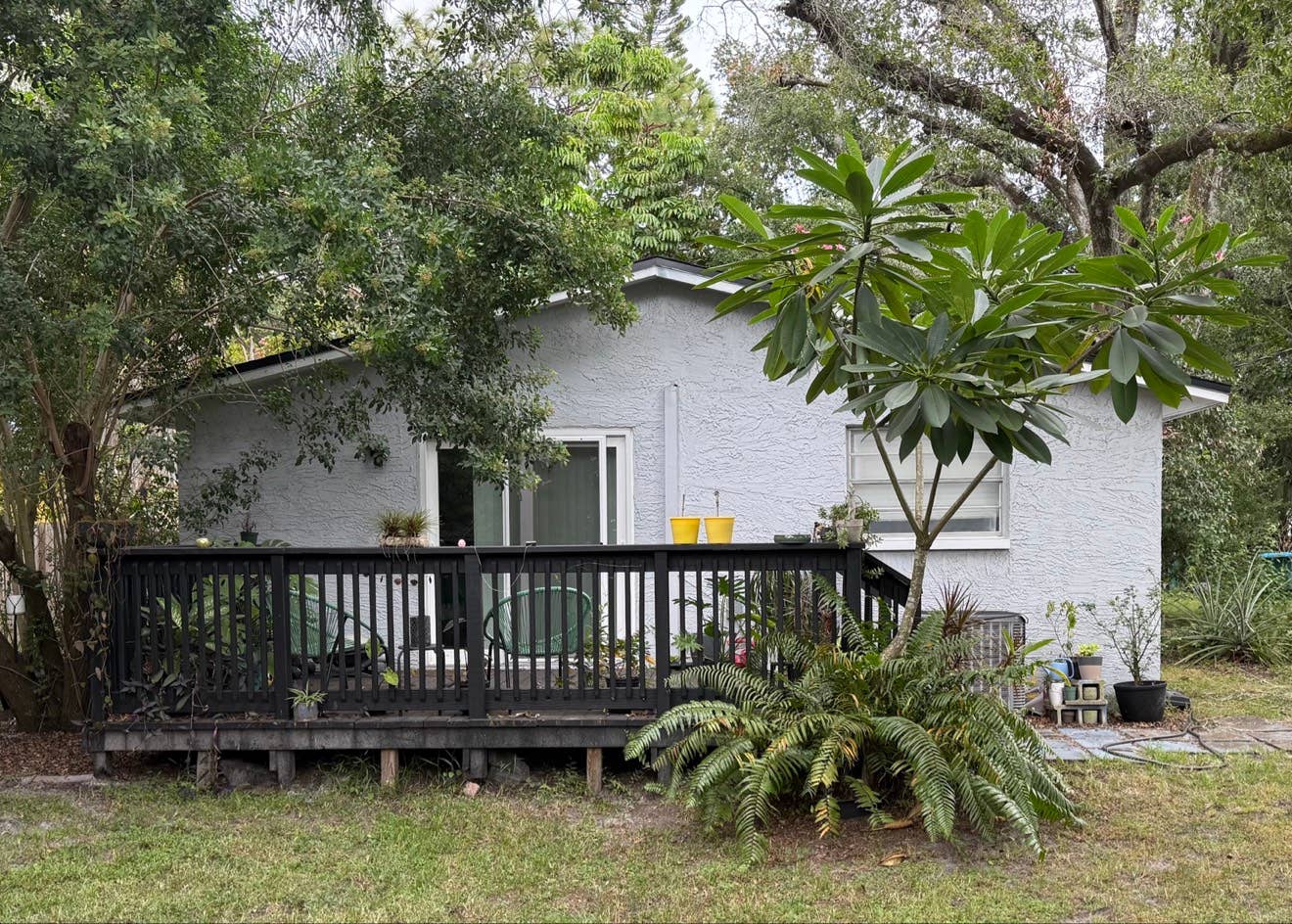 ROOM FOR RENT – CLEARWATER, FL