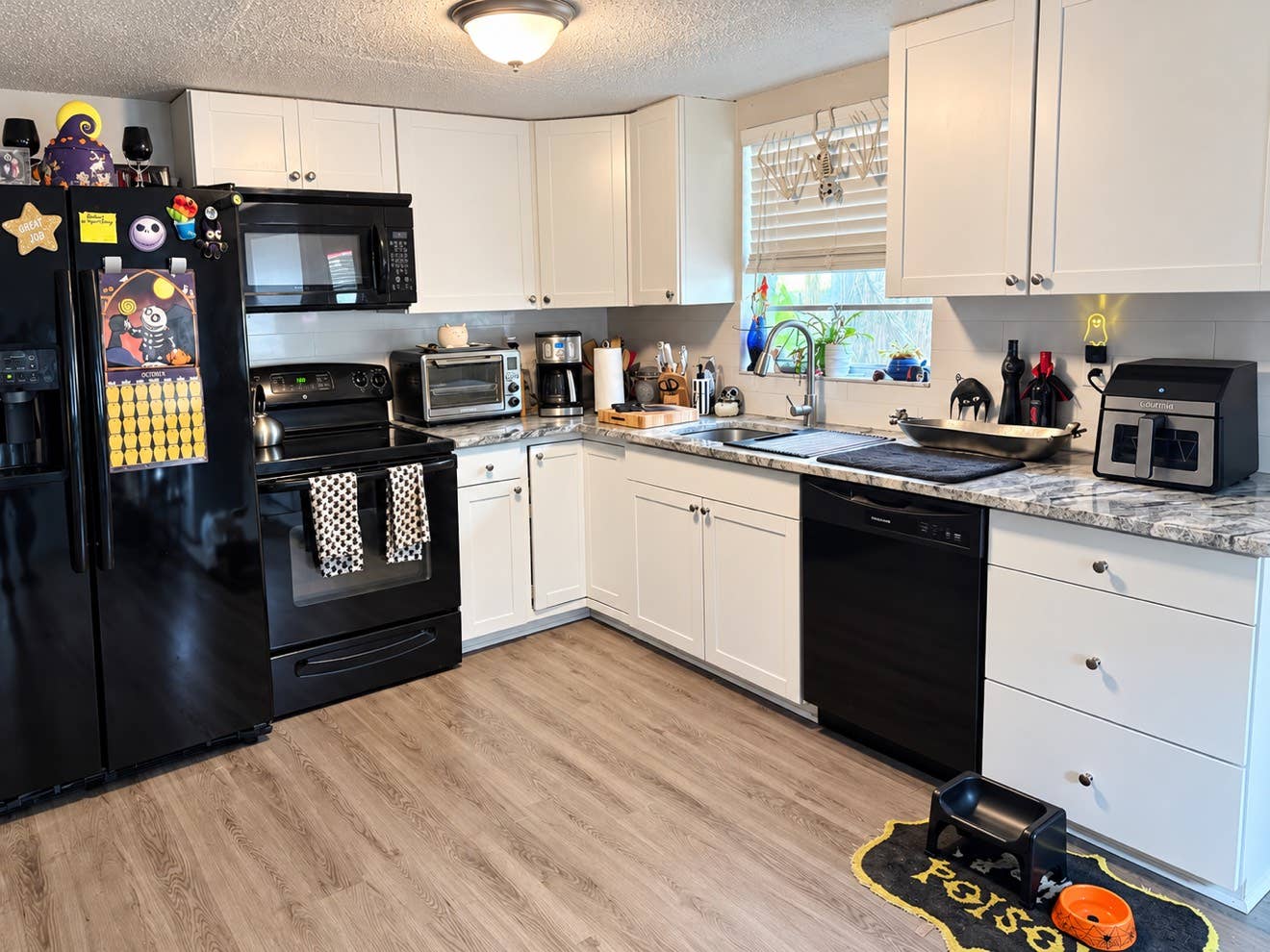 ROOM FOR RENT – CLEARWATER, FL