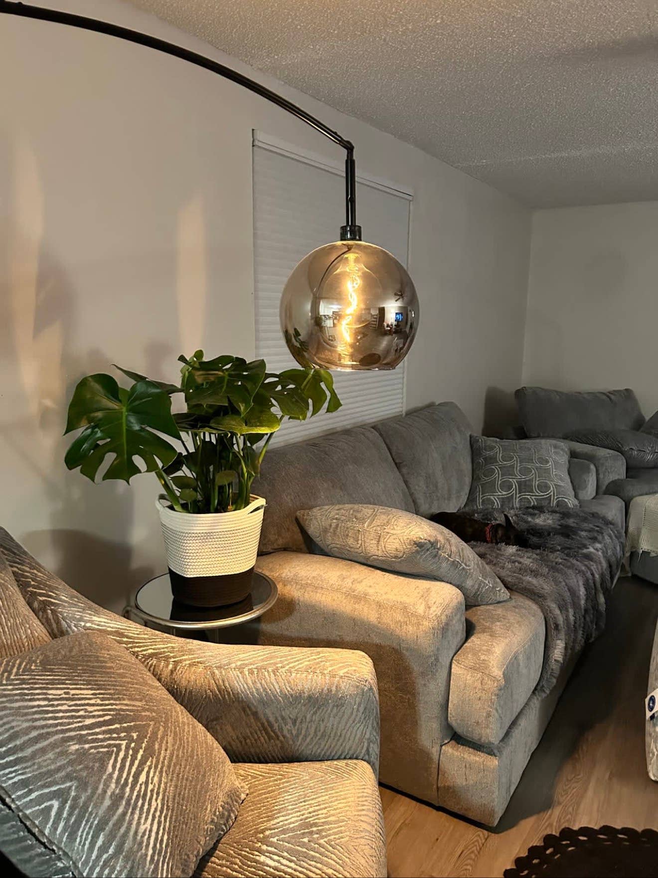 ROOM FOR RENT – CLEARWATER, FL