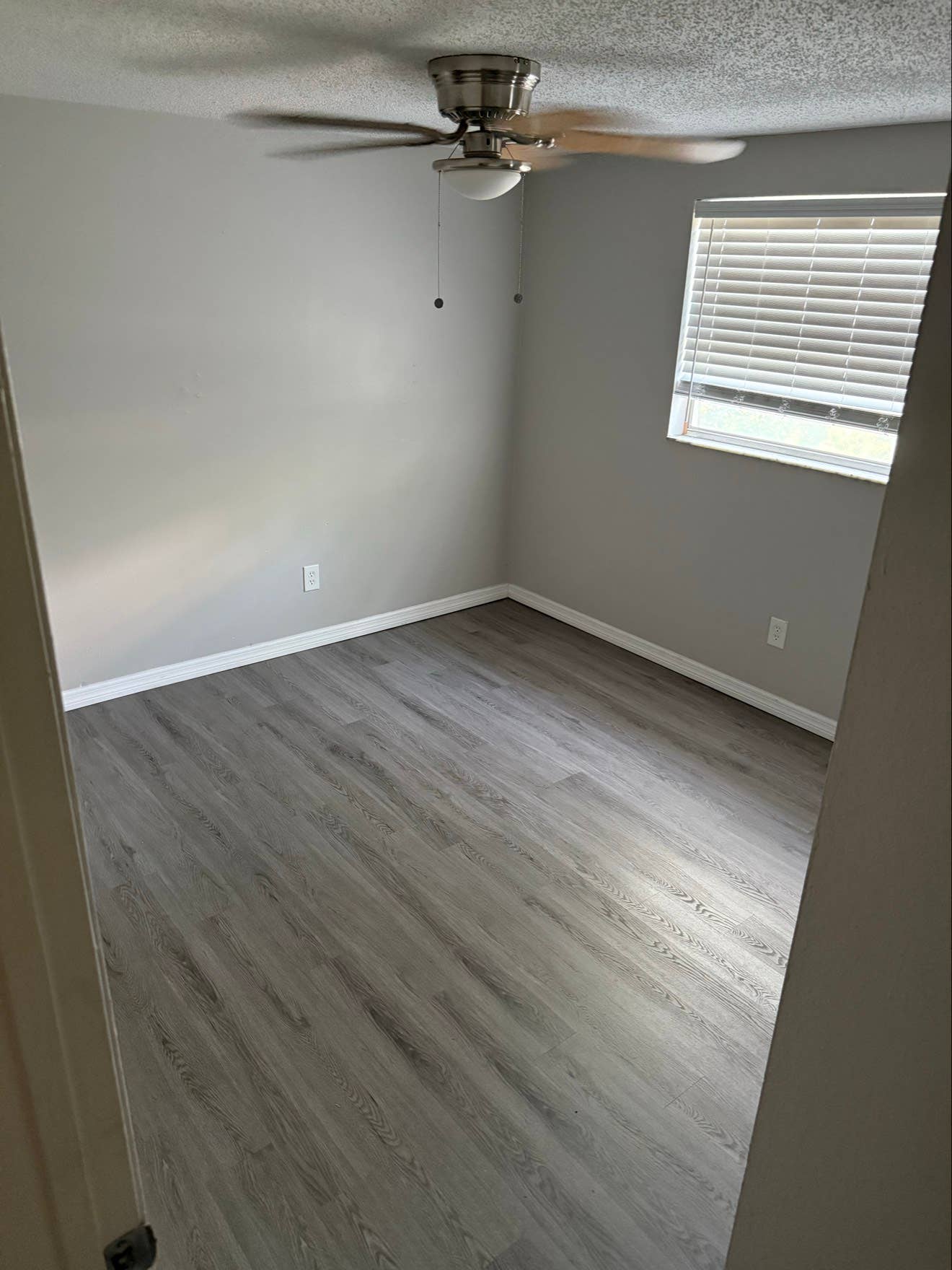 ROOM FOR RENT – CLEARWATER, FL