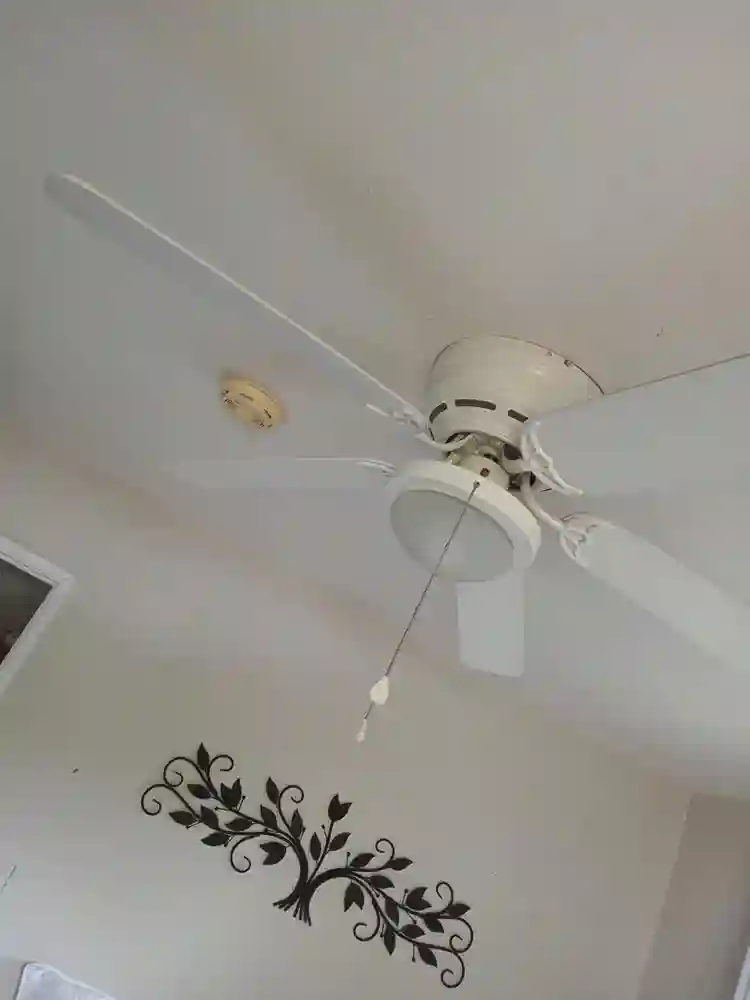 Room for rent in a three bdrm house