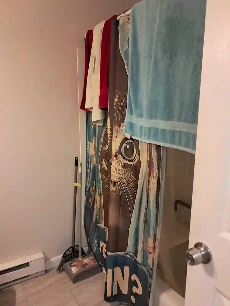 Room on Boston rd!