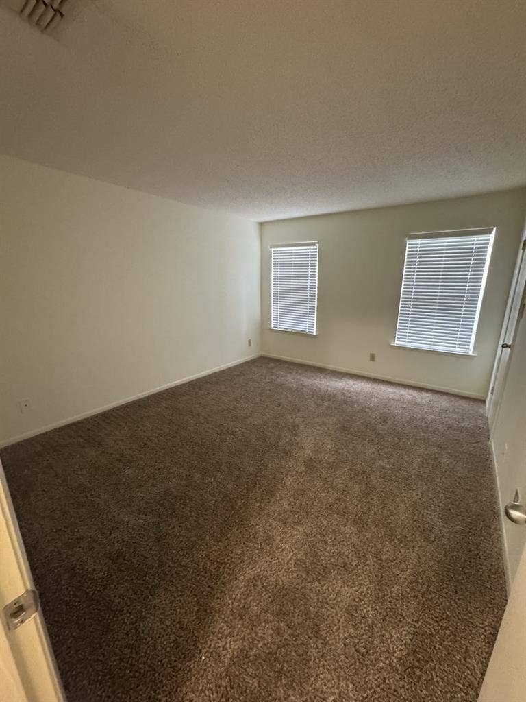 Professional cozy space