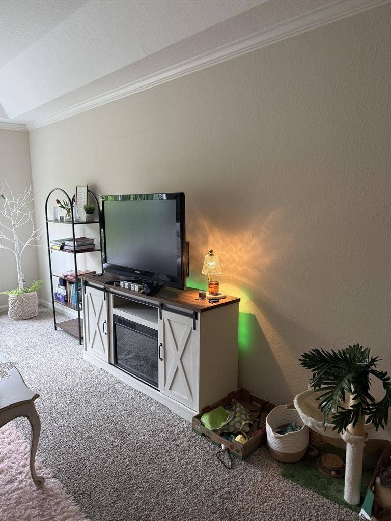 ✨WANTING ROOMMATE IN GREENVILLE✨