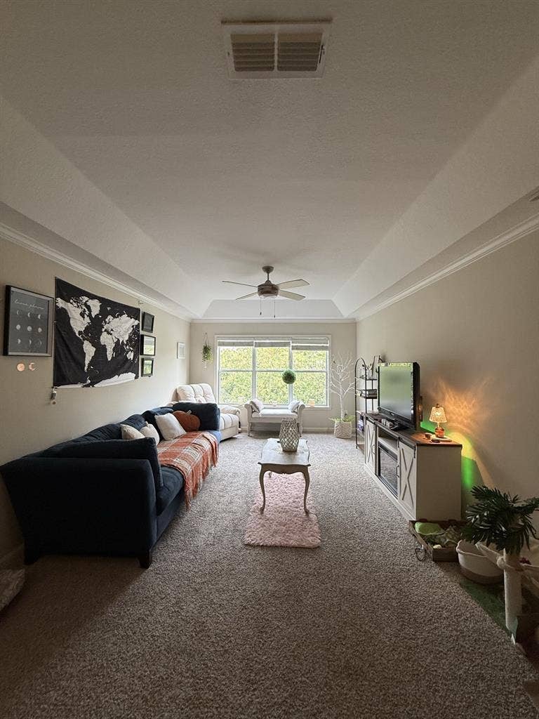 ✨WANTING ROOMMATE IN GREENVILLE✨