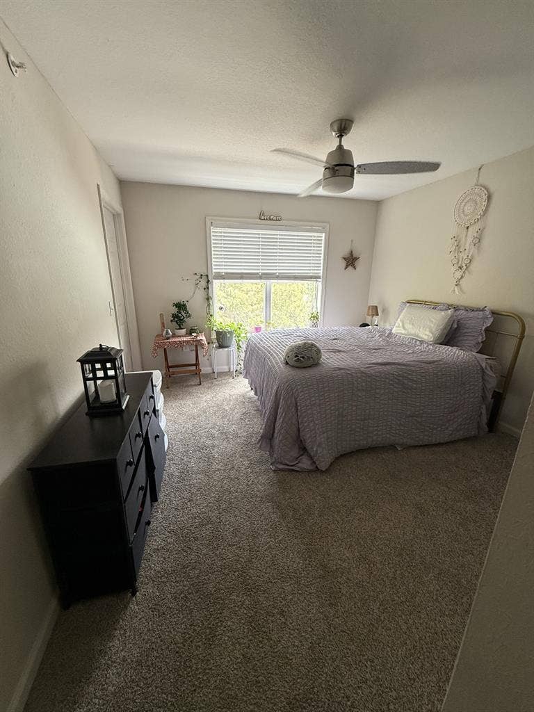 ✨WANTING ROOMMATE IN GREENVILLE✨