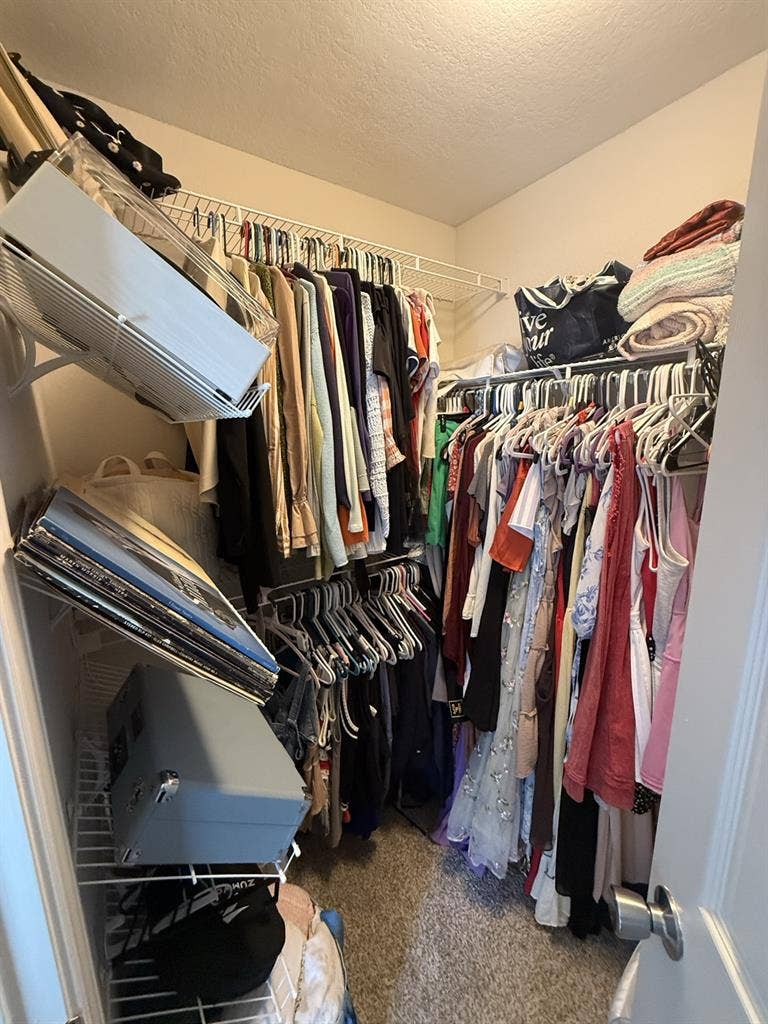 ✨WANTING ROOMMATE IN GREENVILLE✨