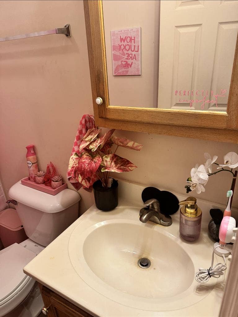 WANTED: Roommate!