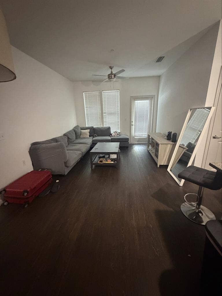 In search of roommate