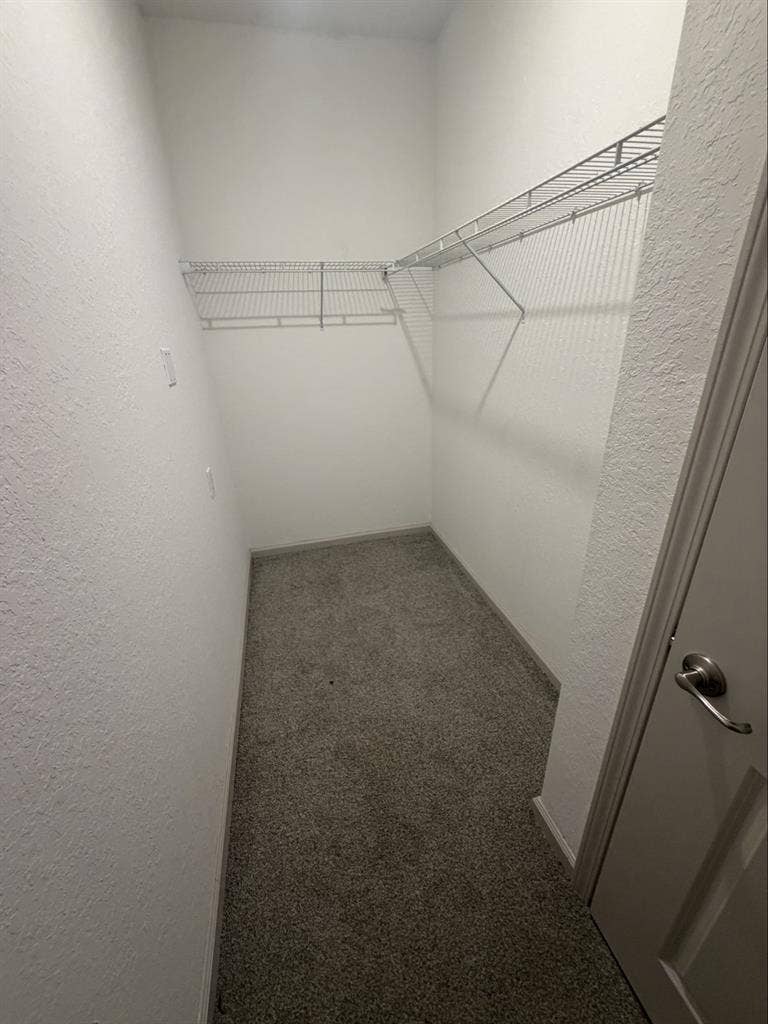 In search of roommate