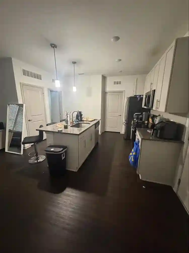 In search of roommate