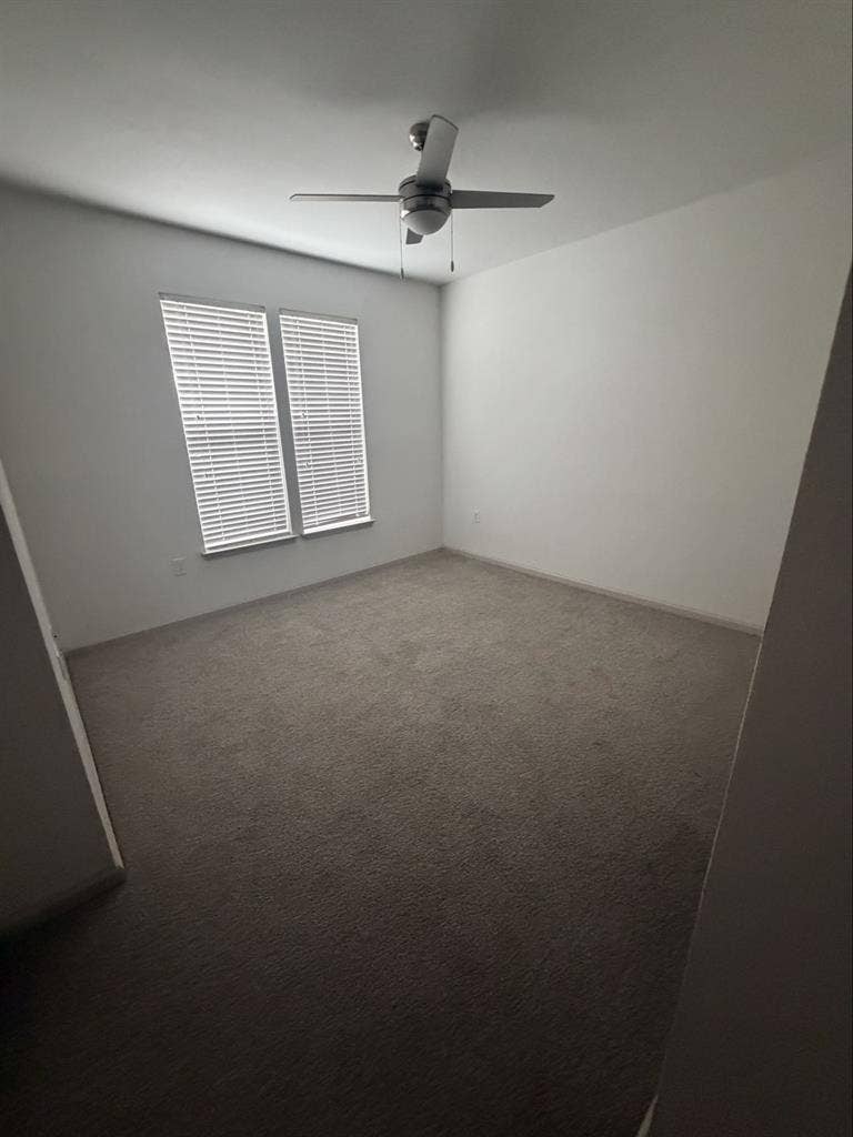 In search of roommate