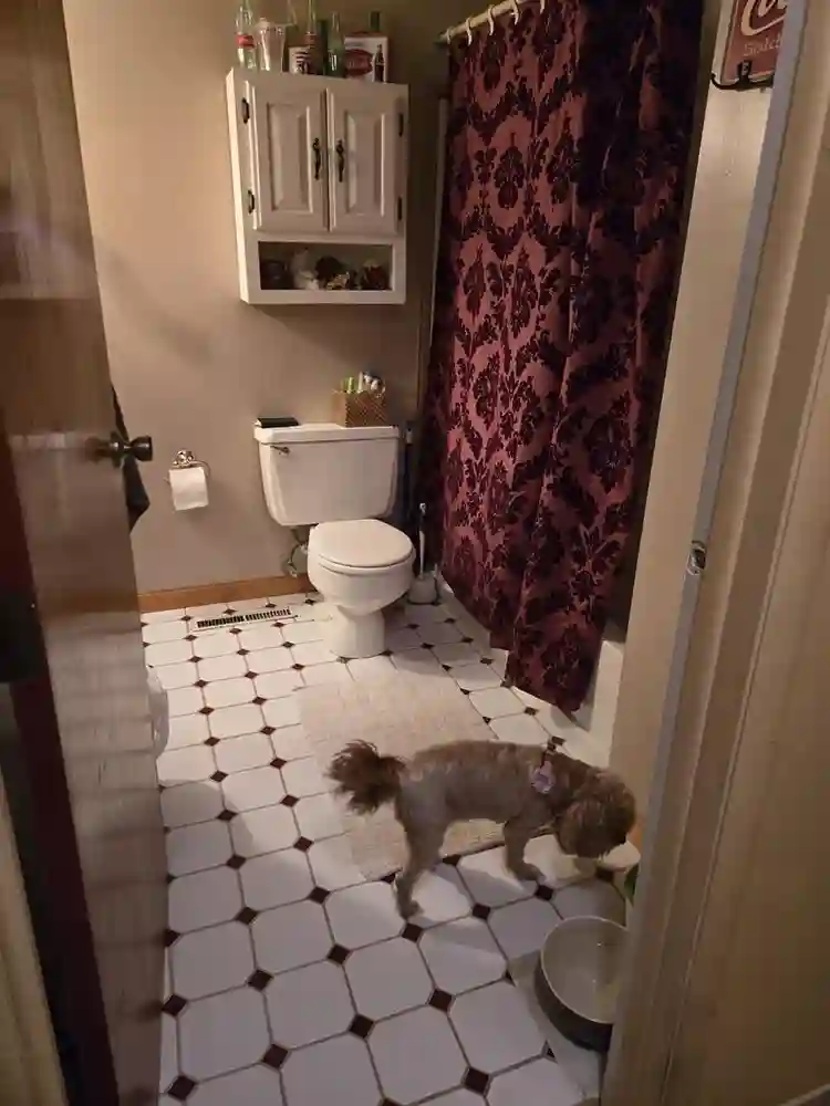Spacious Room Quiet Neighborhood