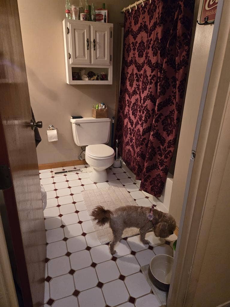Spacious Room Quiet Neighborhood