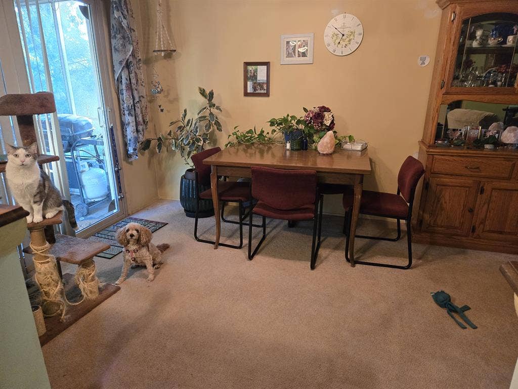 Spacious Room Quiet Neighborhood